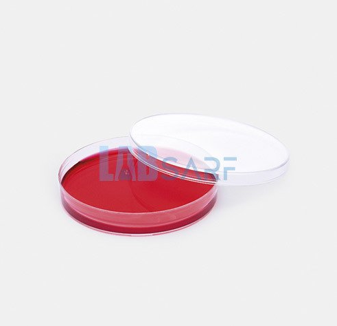 Polistiren Petri Kutuları